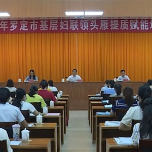 提质赋能 强化担当 罗定市举办基层妇联领头雁培训班