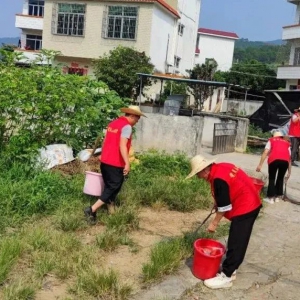 桂圩镇：盘活基层治理“网格化” 全力提升人居环境