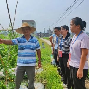船步镇人大：“三个聚焦”推进全过程人民民主的基层实践