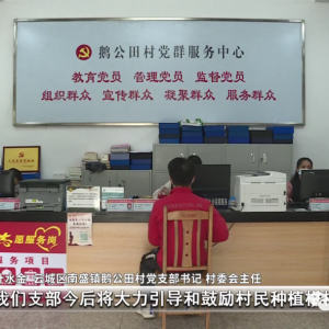 云城南盛：全面掀起乡村振兴发展热潮