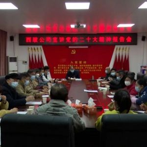 郁南西玻公司：学习贯彻党的二十大精神 推动企业发展创新高 ...