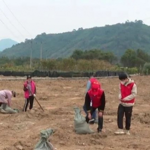 佛山驻桂圩镇帮扶工作队：多方面推进乡村振兴 成效显著