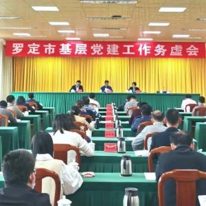 罗定召开基层党建工作务虚会：凝心聚力共奋进 务实笃行谱新篇 ...