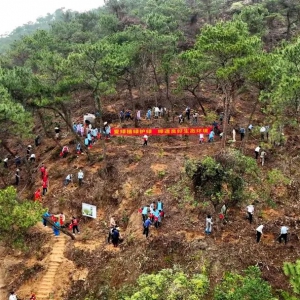 新春添新绿！新兴组织参加全省推进绿美广东生态建设义务植树活动 ...