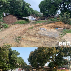 新兴县稔村镇：通村道，暖民心，民生实事办到群众心坎上