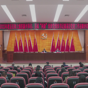 新兴县召开2022年度县直和上级驻新兴单位、县属“两新”组织党组织书记抓基层党建工作 ...