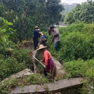 郁南循环热力发电项目工作组：推进民生工程 助力春耕灌溉