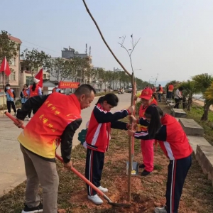 绿美郁南丨郁南都城：三月学雷锋 植树我先行