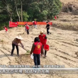 云浮：持续开展春季植绿护绿活动