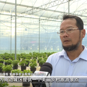 云城腰古：“深耕精耕”现代农业 高质量发展“有质有量”