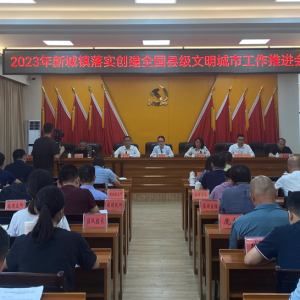 新兴县新城镇：全力以赴做好创建全国县级文明城市工作