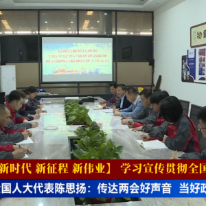 全国人大代表陈思扬：传达**“好声音” 当好政企“连心桥” ...