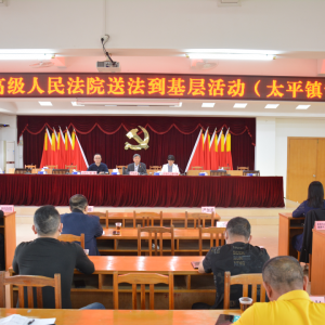 广东省法院民二庭党支部到太平镇开展送法下基层讲座活动