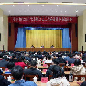 大力实施精品战略 推动罗定市党史地方志工作高质量发展