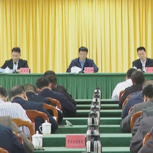 罗定市加快推进紧密型县域医共体建设