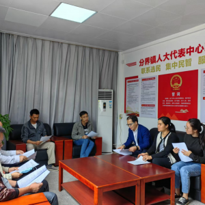 分界镇人大：全过程参与跟进 助推民生实事和重点项目落实