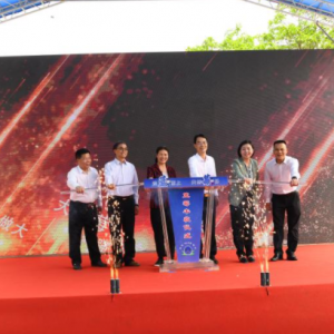 迎“蓝”而上 共创“莓”好 新兴蓝莓正式迎来丰收季