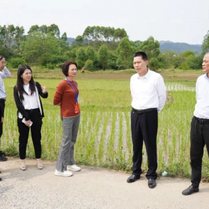 云浮市人大常委会调研组到罗定开展粮食和重要农产品稳产保供工作专题调研 ...