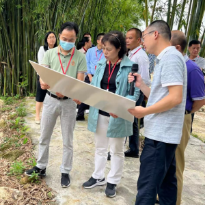 新兴县政协开展专项民主监督活动 建言献策助力新兴江生态碧道建设 ...