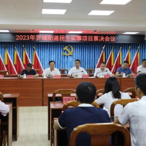 罗城街道：票决民生实事　解决群众“急难愁盼”