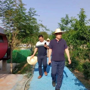 泗纶镇人大：坚持四个争当助推乡村振兴建设