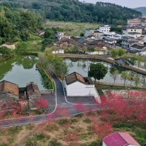 助力乡村振兴赢民心 移民村感恩赠送锦旗