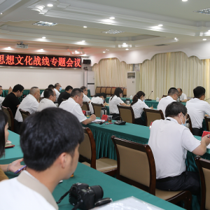 新兴县召开宣传思想文化战线专题会议
