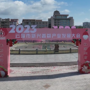 2023年云浮市新兴香荔产业发展大会即将开幕！