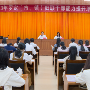 ​罗定：全面加强基层妇联组织建设 打造高素质基层妇联干部队伍 ...