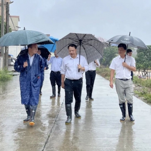 罗定市人大常委会领导督导检查防雨防汛工