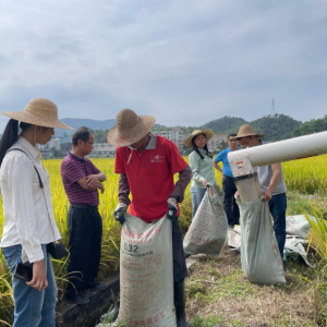 县农机总站：机收减损大比武，解题破局护丰收