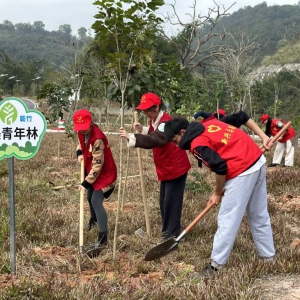 新兴：义务植树添新绿 携手共建青年林