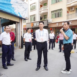 罗定市人大常委会组织开展创建国家卫生城市工作专题视察