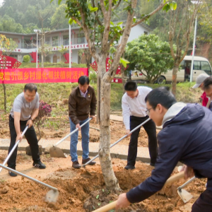 省中医药局联合省第二中医院为龙湾增绿添彩