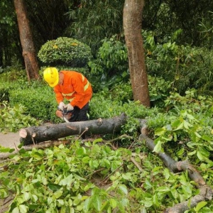 新兴县公路事务中心积极清障，守护群众安全出行