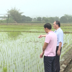 云浮：积极防范强对流天气 为春耕春种保驾护航